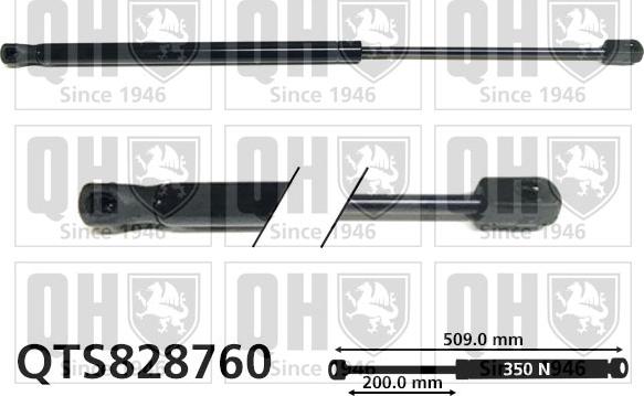 Quinton Hazell QTS828760 - Gāzes atspere, Bagāžas / Kravas nodalījuma vāks www.autospares.lv