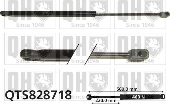 Quinton Hazell QTS828718 - Gāzes atspere, Bagāžas / Kravas nodalījuma vāks www.autospares.lv