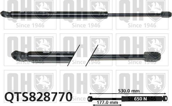 Quinton Hazell QTS828770 - Gāzes atspere, Bagāžas / Kravas nodalījuma vāks www.autospares.lv