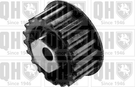 Quinton Hazell QTT169 - Spriegotājrullītis, Gāzu sadales mehānisma piedziņas siksna www.autospares.lv