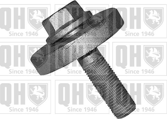 Quinton Hazell QTT1152B - Pulley Bolt www.autospares.lv