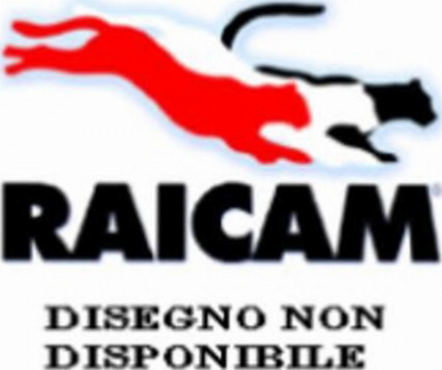 Raicam 2660 - Bremžu uzliku kompl., Disku bremzes www.autospares.lv