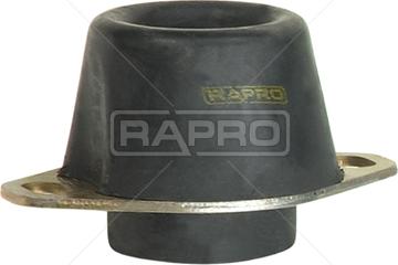 Rapro R59741 - Piekare, Dzinējs autospares.lv