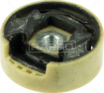 Rapro R55313/O - Piekare, Dzinējs www.autospares.lv