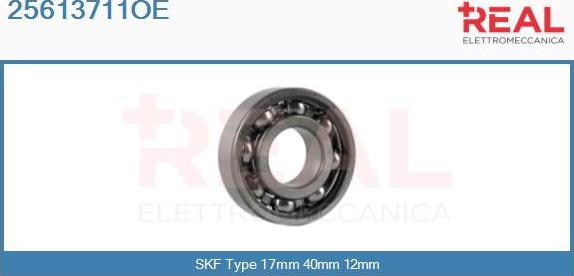 REAL 25613711OE - Bearing www.autospares.lv