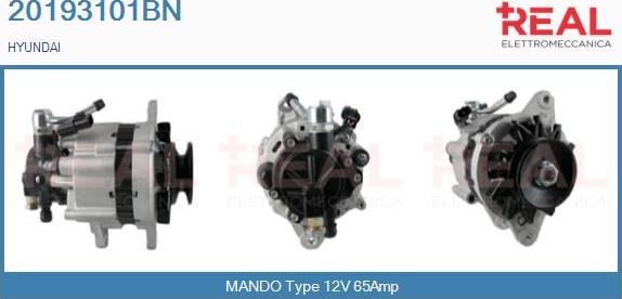 REAL 20193101BN - Alternator www.autospares.lv