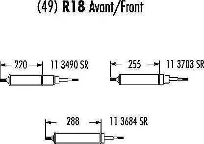 Record France 113684 - Amortizators autospares.lv