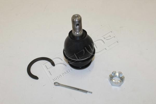 Red Line 40TO162 - Ball Joint www.autospares.lv