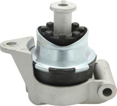 REINHOCH RH11-5009 - Piekare, Dzinējs www.autospares.lv