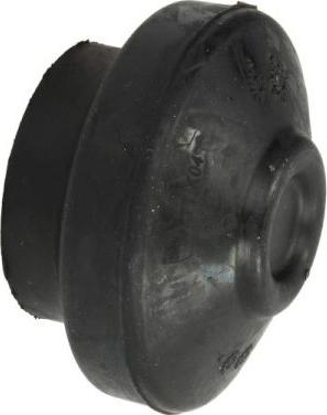 REINHOCH RH11-0043 - Spilvens, Motora piekare www.autospares.lv