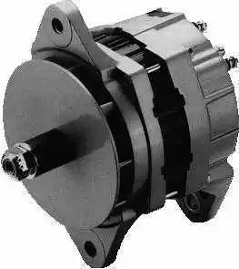 Remy 19020304 - Alternator www.autospares.lv