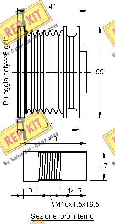 REPKIT RKT3195 - Piedziņas skriemelis, Ģenerators autospares.lv