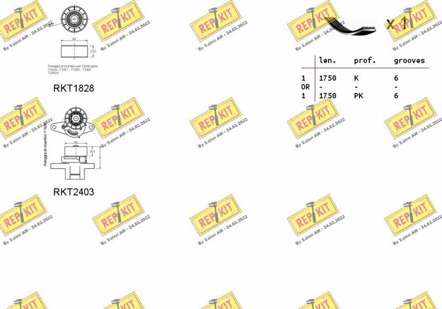 REPKIT RKTA0028 - Поликлиновый ременный комплект www.autospares.lv