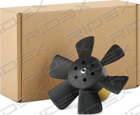 RIDEX 508R0096 - Ventilators, Motora dzesēšanas sistēma www.autospares.lv