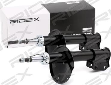 RIDEX 854S2290 - Shock Absorber www.autospares.lv