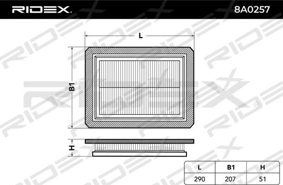 RIDEX 8A0257 - Воздушный фильтр, двигатель www.autospares.lv