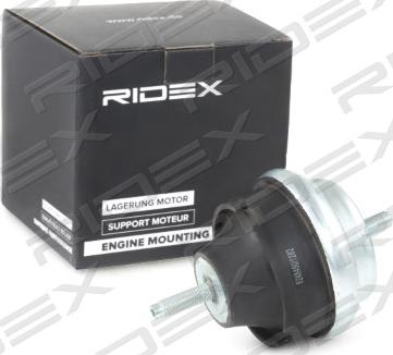 RIDEX 247E0099 - Piekare, Dzinējs autospares.lv