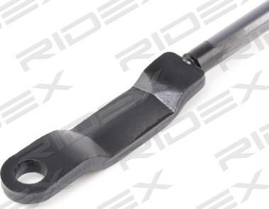 RIDEX 219G0271 - Gāzes atspere, Bagāžas / Kravas nodalījuma vāks www.autospares.lv