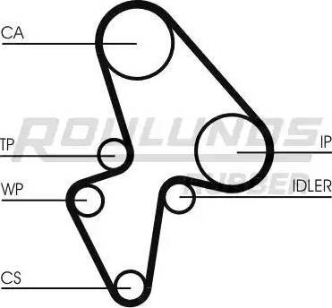 Roulunds Rubber RR1189 - Timing Belt www.autospares.lv