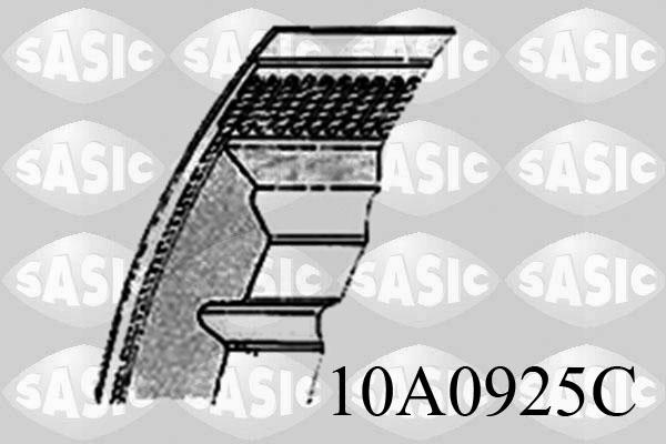 Sasic 10A0925C - Поликлиновой ремень www.autospares.lv