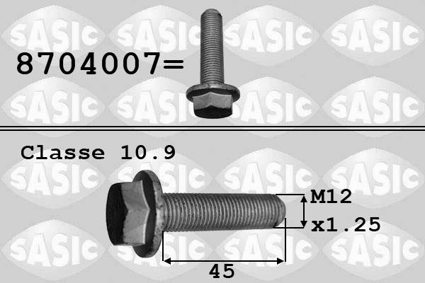 Sasic 8704007 - Piedziņas skriemeļa skrūve autospares.lv