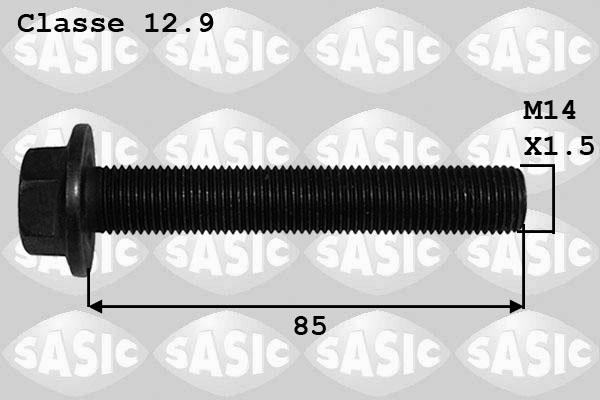 Sasic 8706021 - Piedziņas skriemeļa skrūve www.autospares.lv