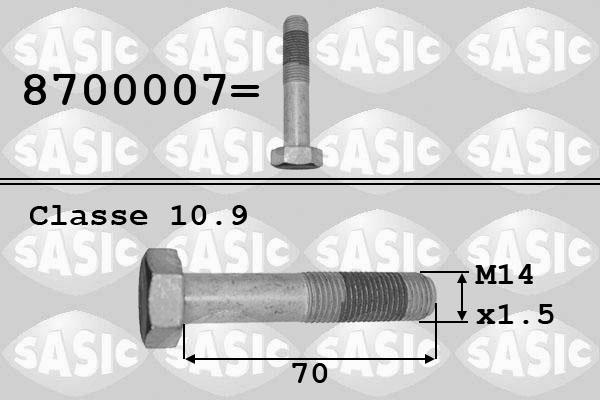 Sasic 8700007 - Piedziņas skriemeļa skrūve www.autospares.lv