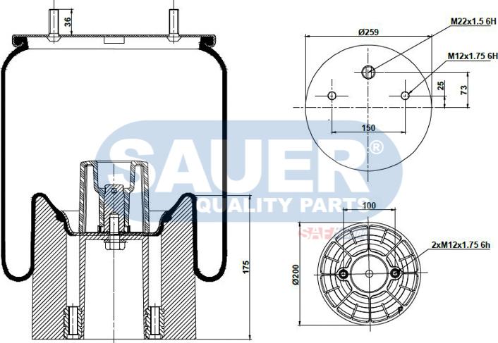 SAUER S2294157204 - Pneimoatsperes spilvens, Pneimopiekare www.autospares.lv