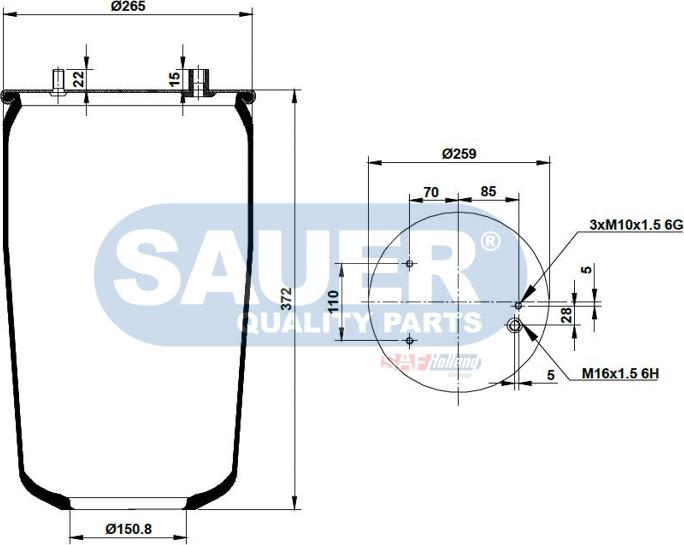 SAUER S2290836100 - Pneimoatsperes spilvens, Pneimopiekare autospares.lv