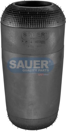 SAUER S2291885001 - Pneimoatsperes spilvens, Pneimopiekare www.autospares.lv