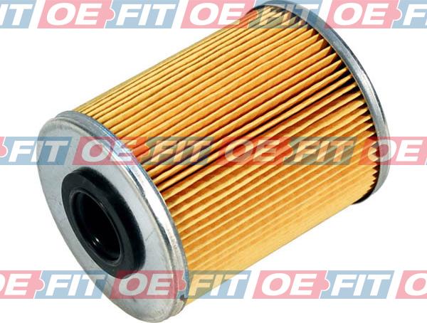 Schaeferbarthold 312 16 091 02 22 - Degvielas filtrs autospares.lv