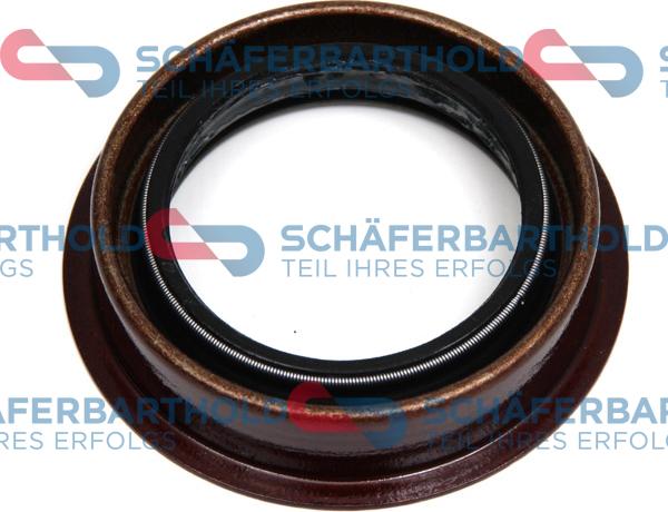 Schferbarthold 919 06 163 01 11 - Уплотняющее кольцо, дифференциал www.autospares.lv