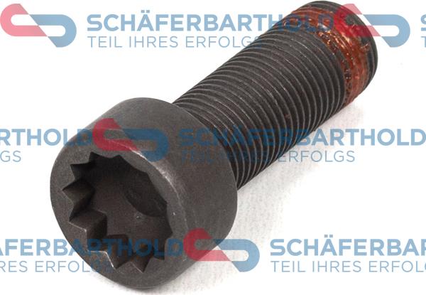 Schferbarthold 100 09 350 01 12 - Spararata skrūve autospares.lv