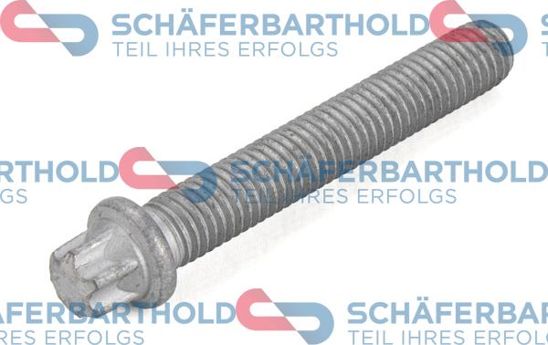 Schferbarthold 100 02 150 01 11 - Centrējošā skrūve, Piedziņas skriemelis-Kloķvārpsta www.autospares.lv