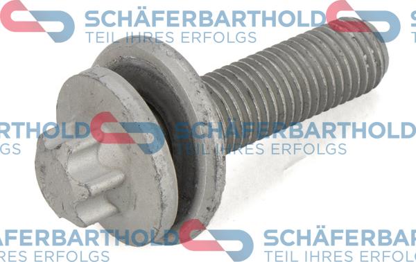 Schferbarthold 100 02 152 01 22 - Skrūve, Bremžu suports www.autospares.lv