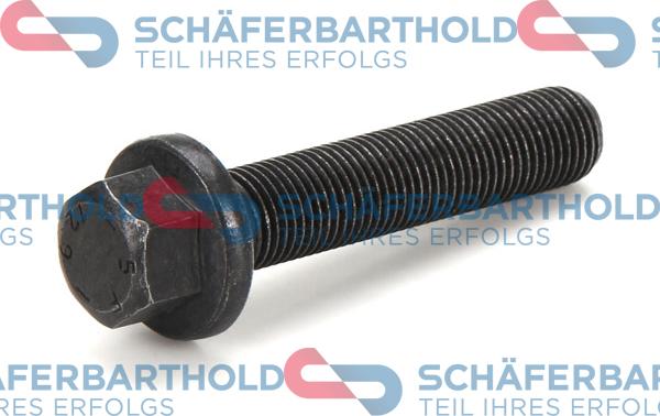 Schferbarthold 100 27 018 01 11 - Болт шкива www.autospares.lv