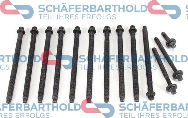 Schferbarthold 100 27 238 01 11 - Cilindru galvas skrūvju komplekts www.autospares.lv