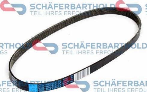 Schferbarthold 300 06 808 01 11 - V-Ribbed Belt www.autospares.lv