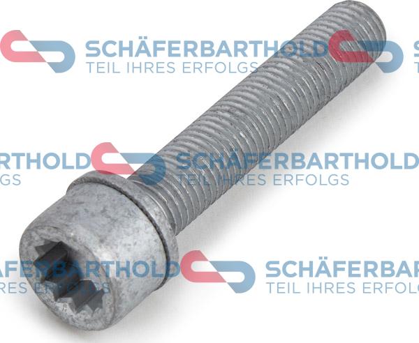 Schferbarthold 319 18 001 01 11 - Болт, корпус скобы тормоза www.autospares.lv