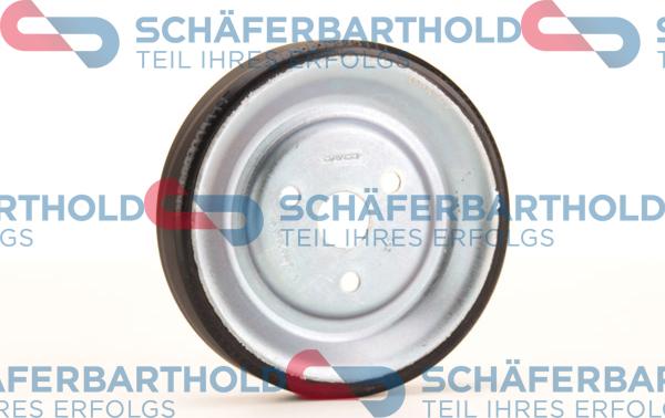 Schferbarthold 310 27 574 01 11 - Шкив водяного насоса www.autospares.lv