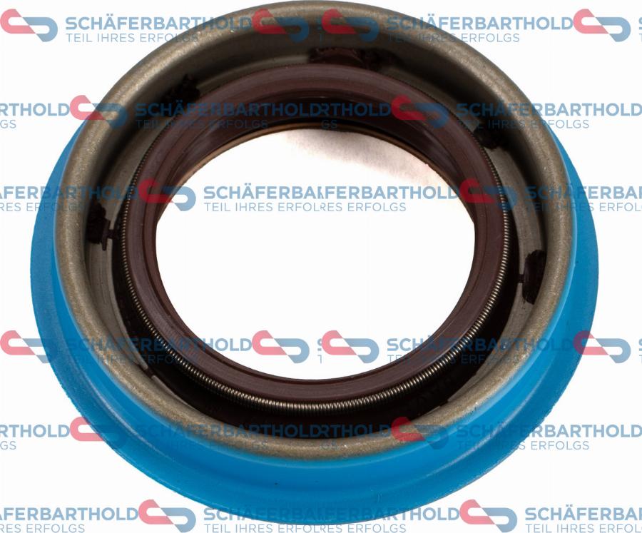 Schferbarthold 313 02 402 01 11 - Vārpstas blīvgredzens, Mehāniskā pārnesumkārba www.autospares.lv