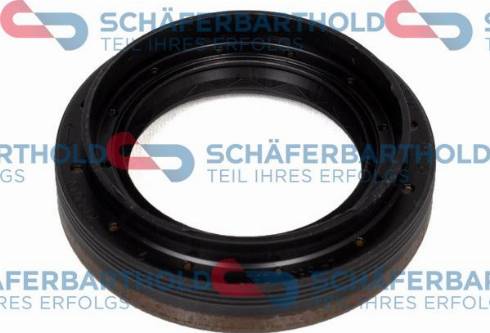 Schferbarthold 313 16 451 01 22 - Vārpstas blīvgredzens, Diferenciālis www.autospares.lv