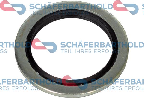 Schferbarthold 313 16 080 01 22 - Blīvgredzens, Eļļas noliešanas korķis autospares.lv