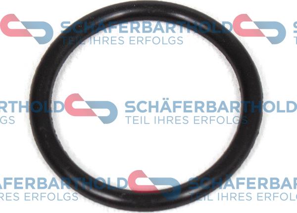 Schferbarthold 313 16 071 01 11 - Blīvgredzens, Eļļas noliešanas korķis www.autospares.lv