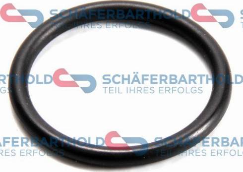 Schferbarthold 313 16 078 01 22 - Blīvgredzens, Eļļas noliešanas korķis www.autospares.lv