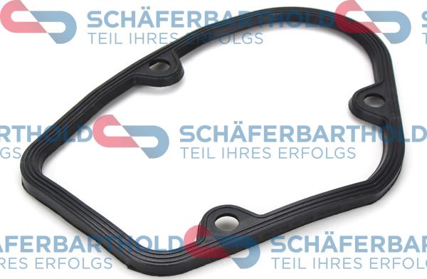 Schferbarthold 313 18 117 01 11 - Oil Seal, manual transmission www.autospares.lv