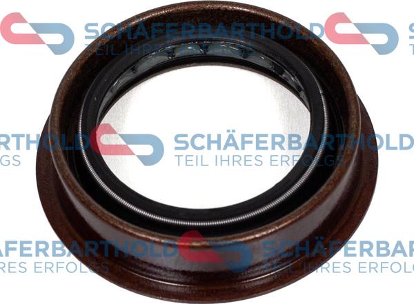 Schferbarthold 313 38 406 01 11 - Уплотняющее кольцо, дифференциал www.autospares.lv