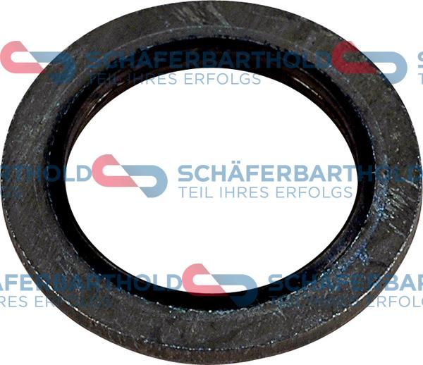 Schferbarthold 313 28 062 01 11 - Blīvgredzens, Eļļas noliešanas korķis www.autospares.lv