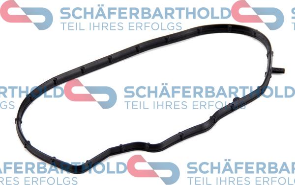 Schferbarthold 313 27 905 01 11 - Прокладка, картер рулевого механизма www.autospares.lv