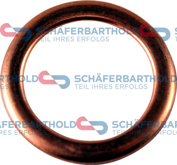 Schferbarthold 313 27 061 01 11 - Blīvgredzens, Eļļas noliešanas korķis www.autospares.lv